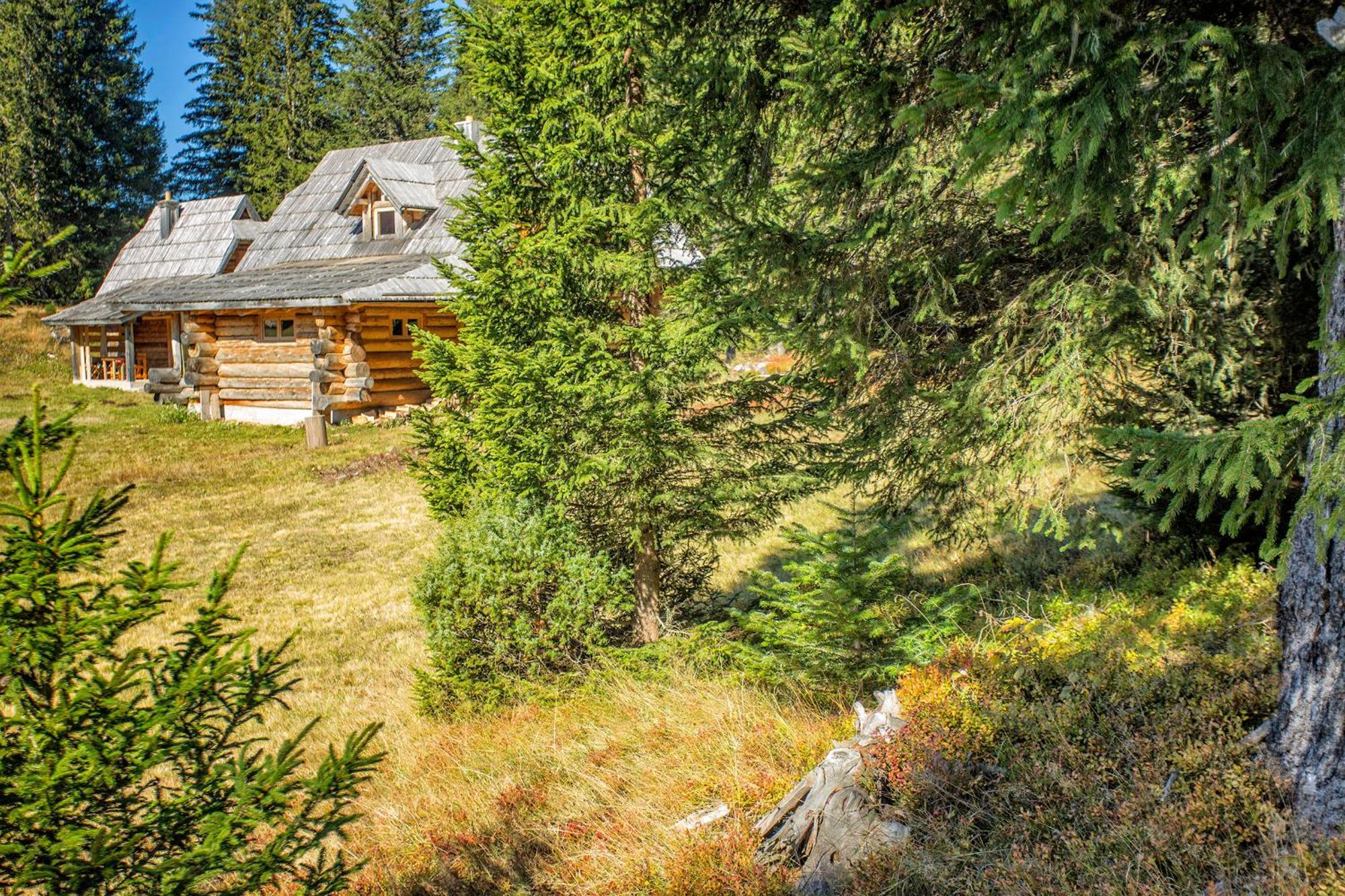 Lodge Nadgora Zabljak  Bagian luar foto